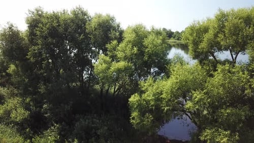 Beautiful Landscape Of Lake Buevsky 30