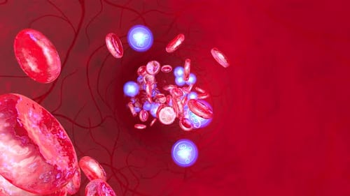Animated Bloodstream with Red Cells and Blue Luminous Particles
