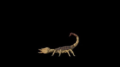 Realistic 3D Scorpion Walking Animation