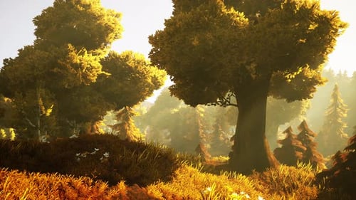 Cartoon Sunbeams Streaming Through the Trees