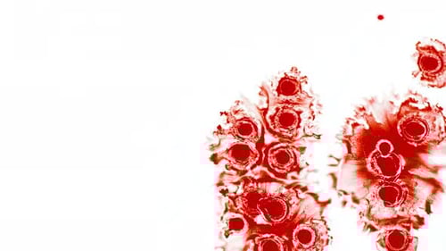 Red Ink Expanding Abstractly on White Background