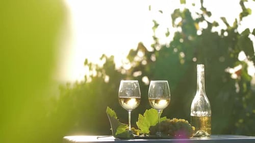 Vignoble d'or