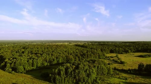 A forest area in the rays of the evening sun.