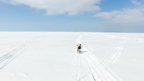 Aerial: Training sled dogs on a frozen bay in winter