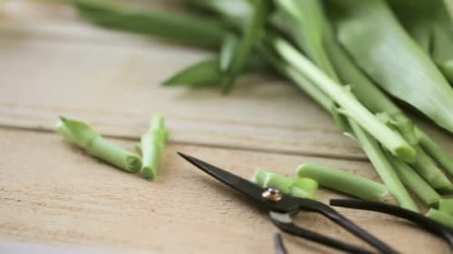 Flower Stem Cutting with Ribbon on Wooden Surface