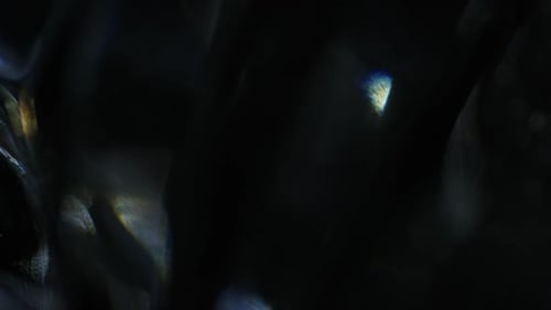 Abstract Rainbow Light Effect Overlay