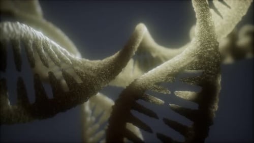 Loop Double Helical Structure of Dna Strand Close-up Animation