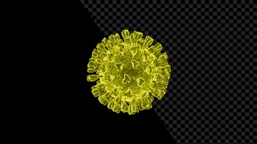 Animated 3D Rotating Virus or Bacteria Cell Loop