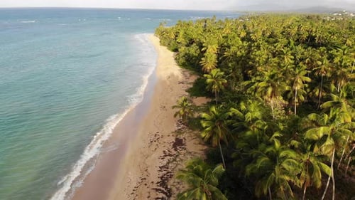 Nature Beach