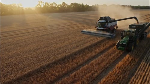 Combine Harvesting Wheat