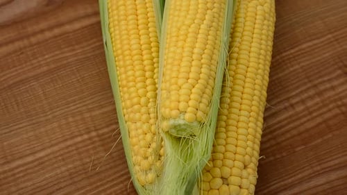 Corn