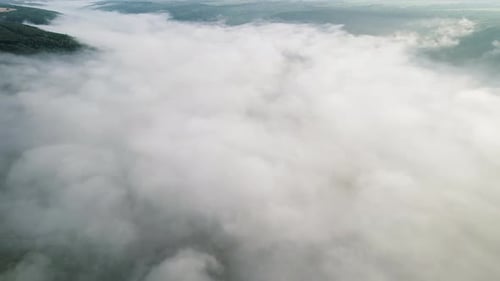 Aerial Drone View on Rainforest Jungle Covered with Mist