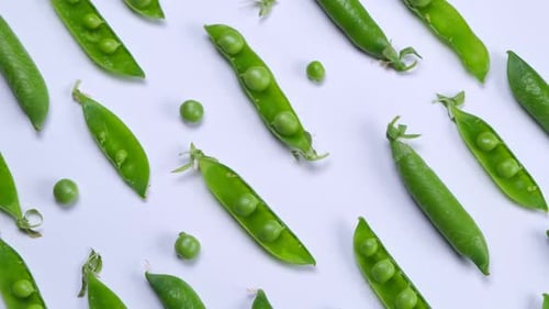 Rotating Young Green Peas on White Background Healthy Food Concept Trendy Vegetable Background