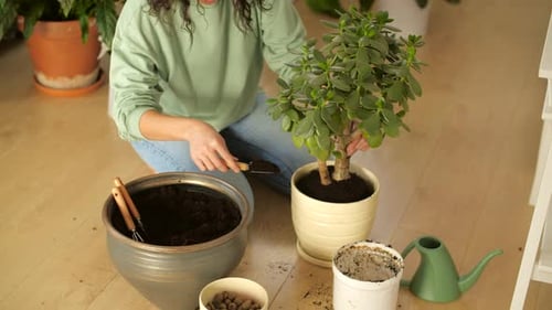 Hobby and Interior Concept