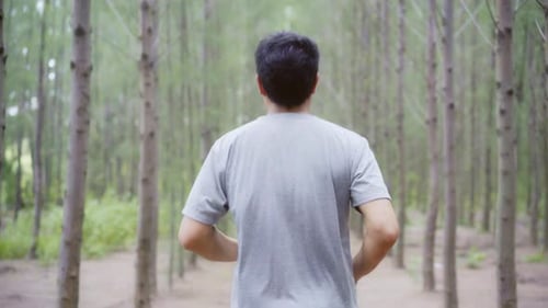 young athletic sporty Asian runner man in sports clothing running and jogging on forest trail.