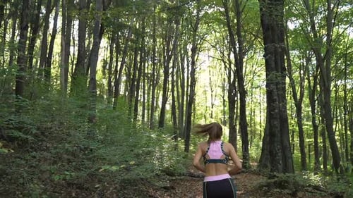 Morning Sun Rays Shine On Fit Female Jogger, Running In the Forest