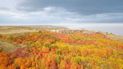 Autumn Sea Forest Nature