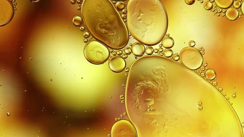 Abstract Colorful Food Oil Drops Bubbles 272