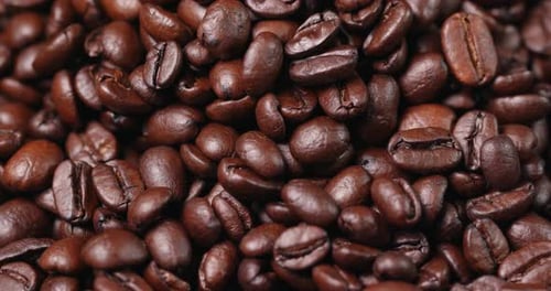 Close up Footage of Roasted Coffee Beans
