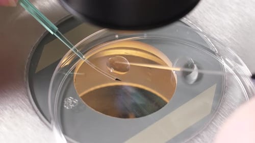 Pipette Injecting Fluid into Petri Dish in Lab