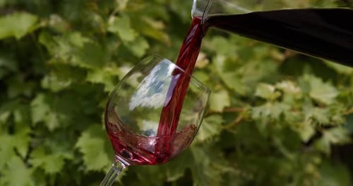 Rotwein wird ins Glas gegossen, Zeitlupe 4K