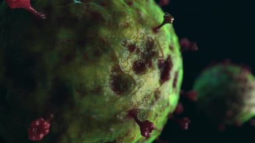 various viruses flying in space . simulation of viruses and other forms of bacteria