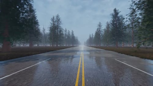Rain Wet Empty Road Nature Scenery