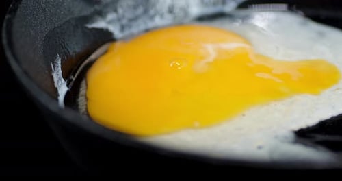 The Egg Falls on the Pan and Is Fried