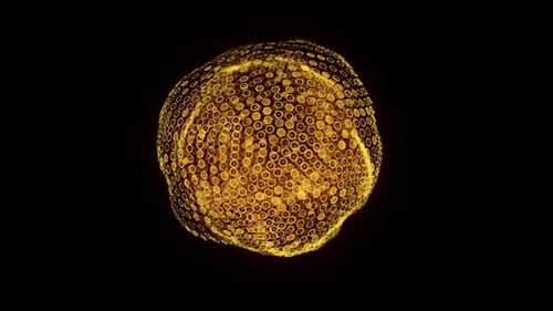 Dynamic Golden Hexagon Grid Sphere Abstract Animation