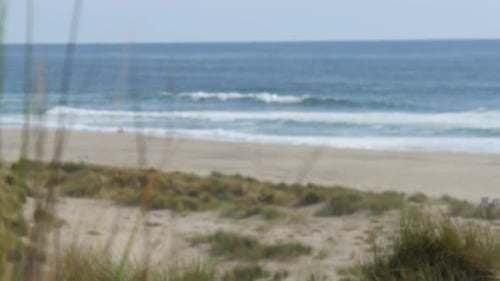Ocean Beach