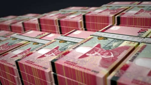 Namibia dollar money banknote pack growth up loop