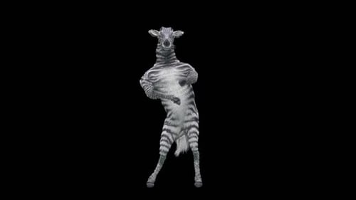 Funny 3D Animated Dancing Zebra Alpha Channel Loop