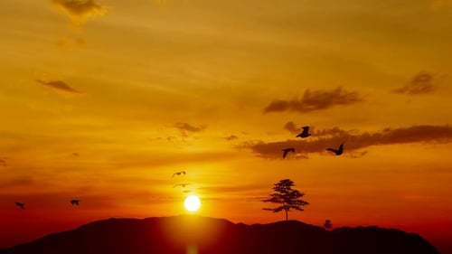 Serene Sunset with Silhouetted Birds Flying