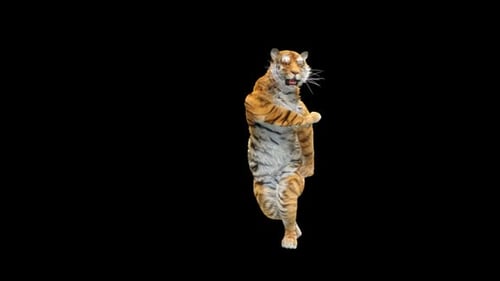 Tiger-Tanz HD