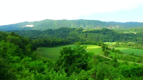 Prados y bosques de color verde intenso