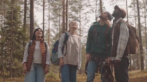 Friends Exploring Forest Area during Camping Trip