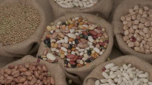 Colorful Dried Legumes Filling Burlap Sacks