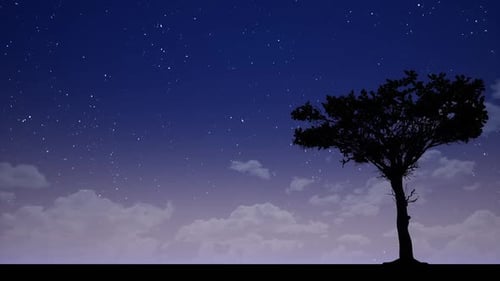 Árbol grande en la noche