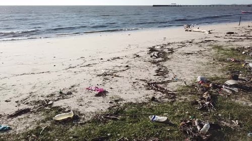 Pollution of trash thrown by man at the beach