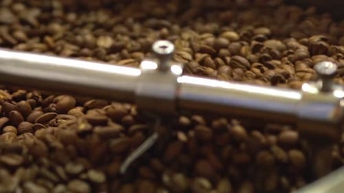 Close Up Footage of Coffee Processing with Beans Mixing and Roasting in Special Machine Spinning By