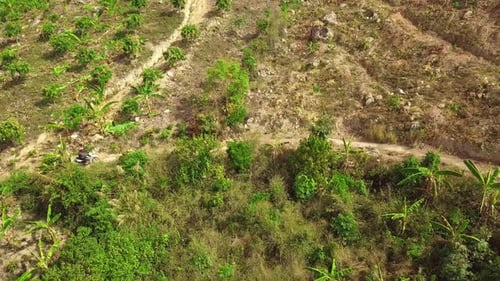 Aerial: Motocross Rider Driving Bike on a Dirt Pathway Going Up To Mountain