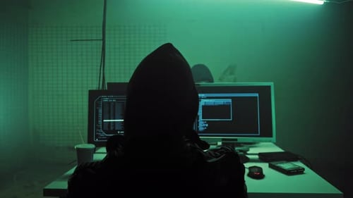Nonconformist Teenage Hacker Organizes Malware Attack on Global Scale. They're in Underground Secret