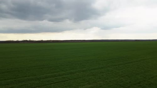 Aerial View of Fields in the Countryside Beautiful Agricultural Landscape of Green Early Spring