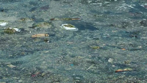 Déchets flottants