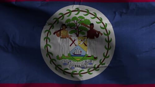 Textured Belize Flag Waving Animated Background