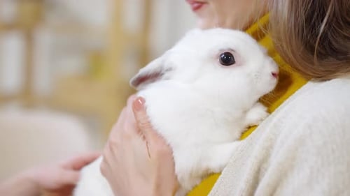 Woman Cuddling with Fluffy White Rabbit Indoors