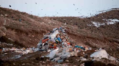 City Dump View