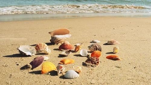 Beach 16