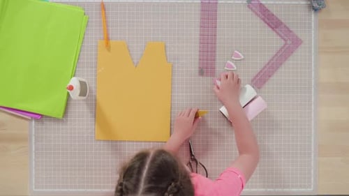 Flat lay. Step by step. Making unicorns out of paper and empty toilet paper rolls.