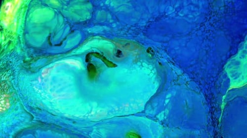 Colorful Abstract Patterns and Forms in Fluid Motion